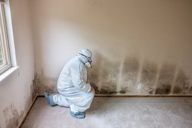 Best HVAC Mold Inspection and Cleaning  in Napavine, WA